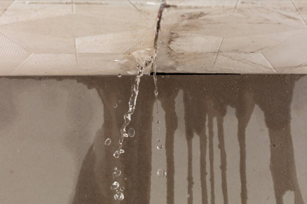 Professional Burst Pipe Cleanup technician working in Harvey, IL